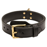 Two ply leather agitation Doberman dog collar