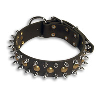Black Leather Spiked Studded Dog Collar for Doberman