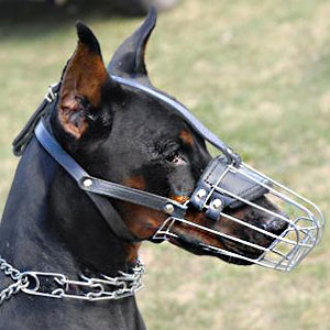 Basket Wire Dog Muzzle Light For Doberman