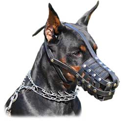 Multipurpose leather dog muzzle
