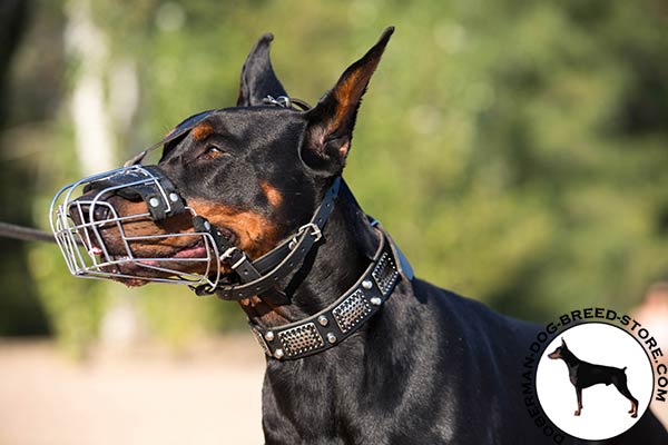 Doberman wire basket muzzle with rust-proof hardware for perfect control