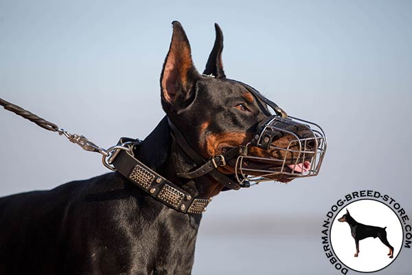 Doberman wire basket muzzle with corrosion resistant hardware for better comfort