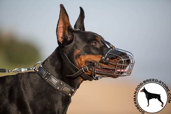 Doberman wire basket muzzle with rust-free fittings for better comfort