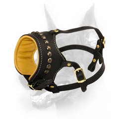 Leather Muzzle with Studs