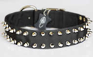 Black Nylon Spiked Dog Collar