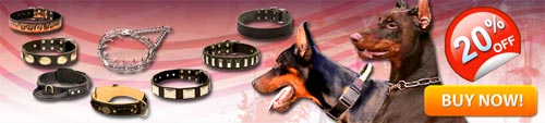Made To Order Doberman Collars Can Be Found Here