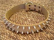 Leather Spiked Dog Collar