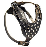 Doberman Studded Leather Dog Harness with Pyramids
