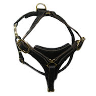 Doberman Tracking Walking leather dog harness- dobe hanress
