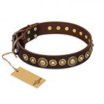 "Ancient Warrior" FDT Artisan Fancy Leather Doberman Collar with Old-Bronze Plated Decorations