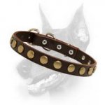 Designer Leather Dog Collar With Gold-Like Circles