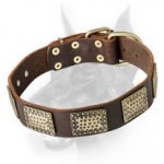 Luxury Leather Dog Collar for Doberman