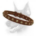 Worthy Leather Dog Collar-Brass Studded Doberman Breed Collar