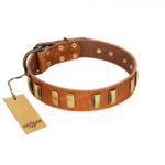 "Olive Slice" FDT Artisan Tan Leather Doberman Collar with Engraved and Smooth Plates