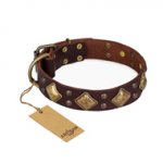 "Golden Square" FDT Artisan Brown Leather Doberman Collar with Large Squares