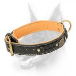 Royal Doberman Collar Padded with Soft Nappa Leather