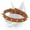 Spiked Leather Dog Collar-Leather Dog Collar Decorated With BRASS Spikes