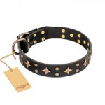 'A La Mode' FDT Artisan Handcrafted Black Leather Doberman Collar