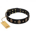 Pirate's Spell' FDT Artisan Black Leather Doberman Collar with Engraved Studs and Medallions