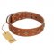 "Dreamy Gleam" FDT Artisan Tan Leather Doberman Collar Adorned with Stars and Squares