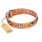 "Glamour Finery" FDT Artisan Female Doberman collar of natural leather with stylish old-looking circles