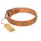 "Feast of Luxury" FDT Artisan Tan Leather Doberman Collar with Old Bronze Look Circles