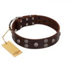 "Skull Valley" Handcrafted FDT Artisan Brown Leather Doberman Collar with Skulls