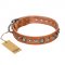 "Daily Chic" FDT Artisan Tan Leather Doberman Collar with Decorations