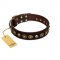 "Street Fashion" FDT Artisan Brown Leather Doberman Collar Adorned with Circles and Skulls