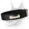 Looking for 2 Ply Nylon Dog Collar w/h name tag/Metal Buckle