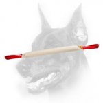 Doberman Dog Training Fire Hose Bite Tug