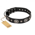 "Black Tie" FDT Artisan Leather Doberman Collar with Old Silver-like Decorations