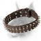 Stunning Doberman Dog Collar with Studs and Spikes