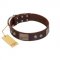 "Stone Stars" Stylish Handmade FDT Artisan Brown Leather Doberman Collar