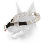 Doberman Dog Stainless Steel Pinch Prong Collar with Nylon Loop