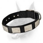 Nylon Dog Collar For Large and Medium Breeds With Vintage Plates