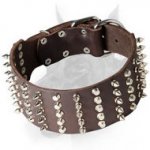 Tremendous Leather Doberman Dog Collar with Spikes and Studs