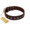 "Kingly Grace" FDT Artisan Brown Leather Doberman Collar with Silver-like Dotted Studs