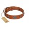 "Foxy Nature" FDT Artisan Tan Leather Doberman Collar with Chrome Plated Brooches
