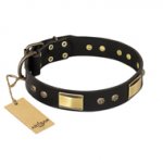 "Black Sun" FDT Artisan Leather Doberman Collar with Brass Plated Decorations