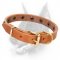Simply Beautiful Leather Dog Collar with Brass Round Studs
