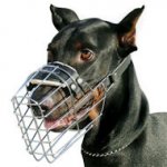 'The Silencer' Wire Basket Muzzle for Dobermans - Cage Dog Muzzle