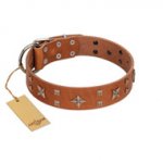 "Dreamy Gleam" FDT Artisan Tan Leather Doberman Collar Adorned with Stars and Squares