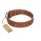 "Silver Age" Fashionable FDT Artisan Tan Leather Doberman Collar with Silver-Like Studs