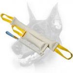 Doberman Dog Set of 2 Reliable Tugs + Pocket-sized Tug as a Gift (value $6.99)