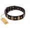 "Venerable Pawty" FDT Artisan Black Leather Doberman Collar with Old Bronze-like Ovals and Studs