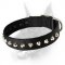 Fashion Nylon Collar with 1 Row Studs -1 1/2" for Doberman - Branded Product