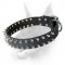 Leather Dog Collar with 2 Rows of Spikes for Doberman