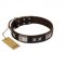 "Satin Beauts" FDT Artisan Brown Leather Doberman Collar with Stars and Plates