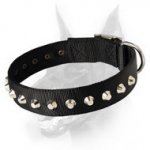 Fashion Nylon Collar with 1 Row Studs -1 1/2" for Doberman - Branded Product